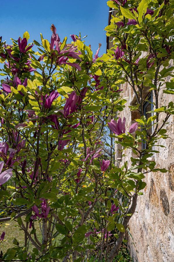 Villa Manolia Preveza Luaran gambar